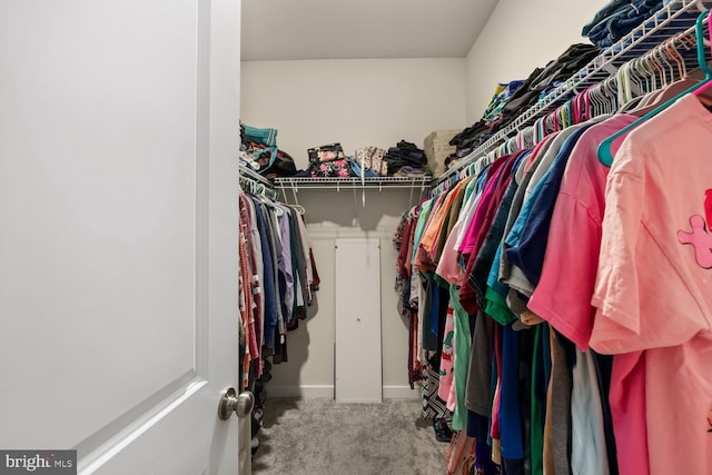 walk in closet with light carpet