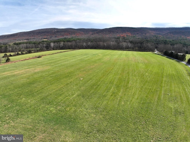 Seven Fountains Rd, Fort Valley VA, 22652 land for sale