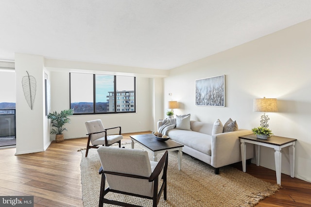 living room with light hardwood / wood-style flooring