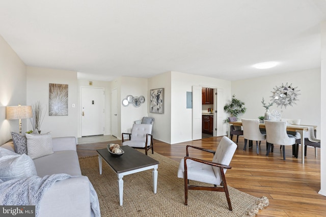 living room featuring hardwood / wood-style floors