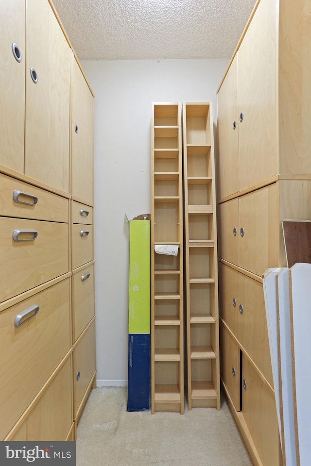 walk in closet with light colored carpet