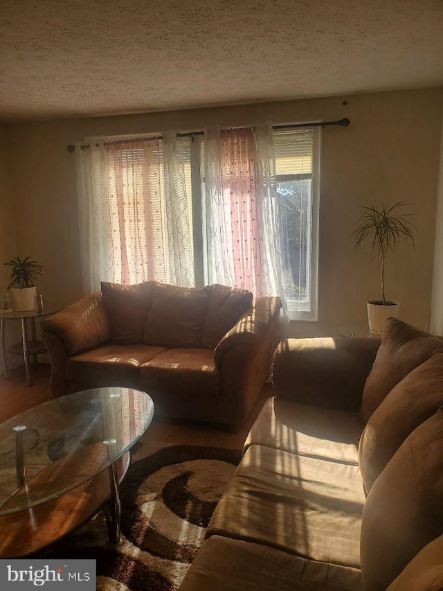 living room with a textured ceiling