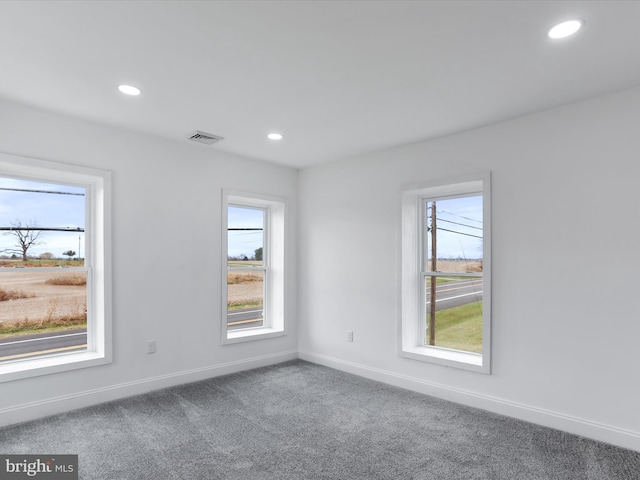 carpeted empty room featuring a wealth of natural light