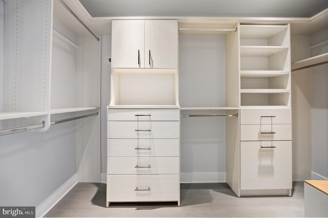 walk in closet featuring hardwood / wood-style floors