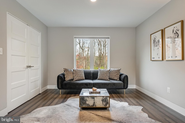 living room featuring dark hardwood / wood-style floors