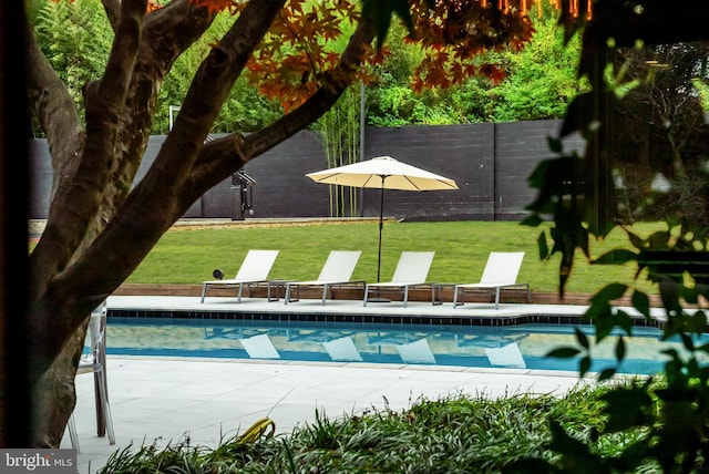 view of swimming pool with a yard