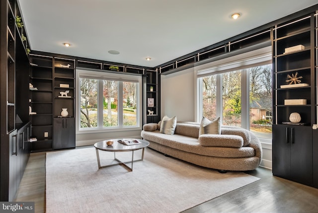 living room with hardwood / wood-style flooring and plenty of natural light