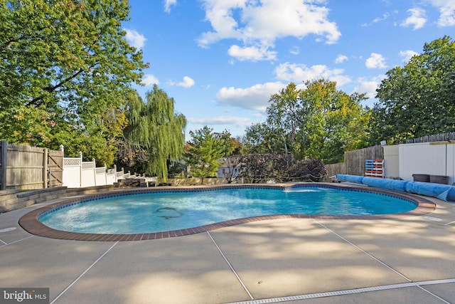 view of pool featuring a patio