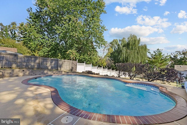 view of pool with a patio