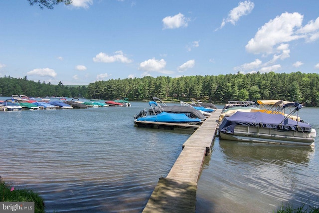 view of dock featuring a water view