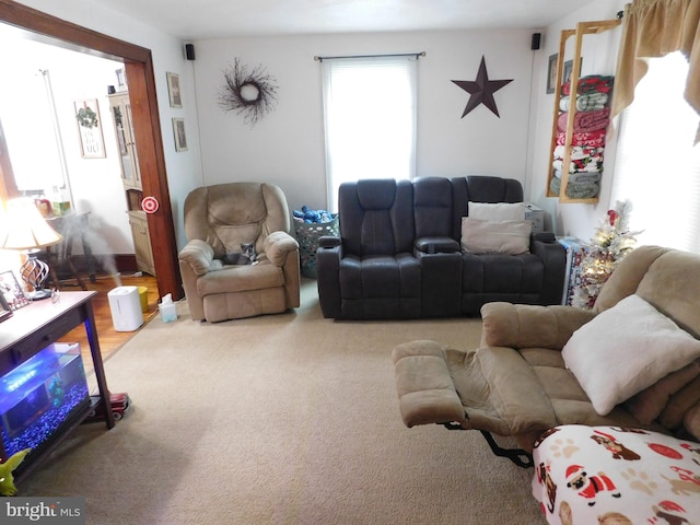 view of carpeted living room