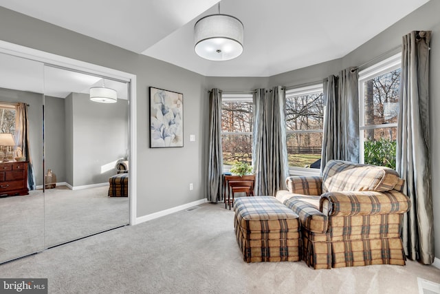 sitting room with carpet