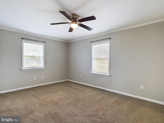 carpeted spare room with ceiling fan and ornamental molding