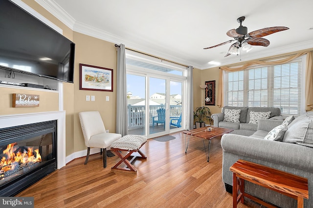 living room featuring crown molding, light hardwood / wood-style flooring, and ceiling fan