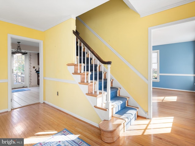 stairs featuring hardwood / wood-style floors and ornamental molding