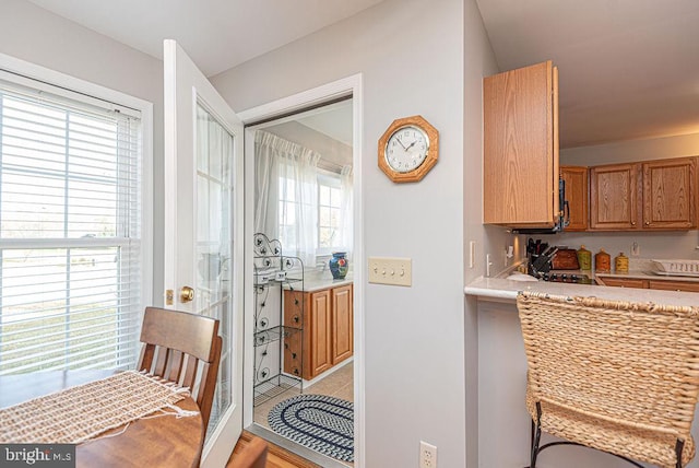 dining area featuring light hardwood / wood-style flooring