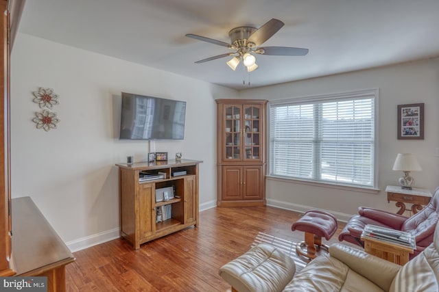 living room with ceiling fan and wood-type flooring