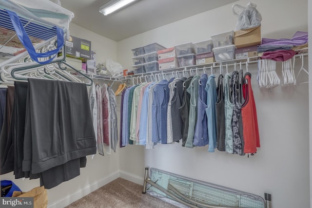 walk in closet featuring carpet floors