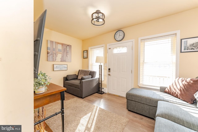 foyer entrance with baseboard heating, plenty of natural light, and light hardwood / wood-style flooring