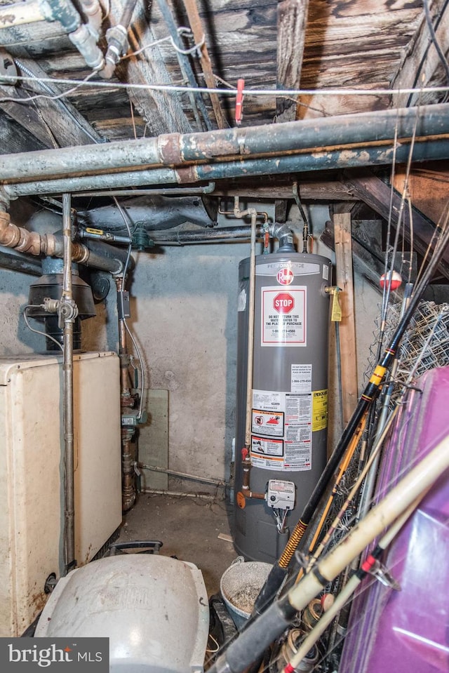 utility room with gas water heater