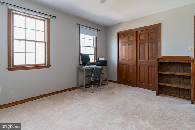 carpeted office with a wealth of natural light and ceiling fan