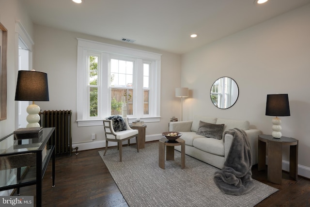 living room featuring dark hardwood / wood-style flooring and radiator