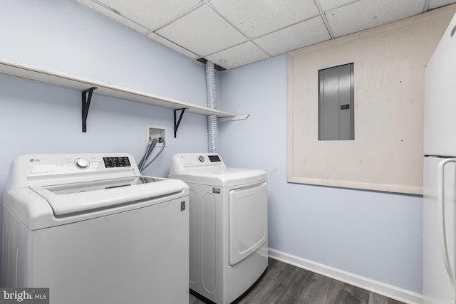 laundry area with washing machine and clothes dryer, electric panel, and dark hardwood / wood-style floors