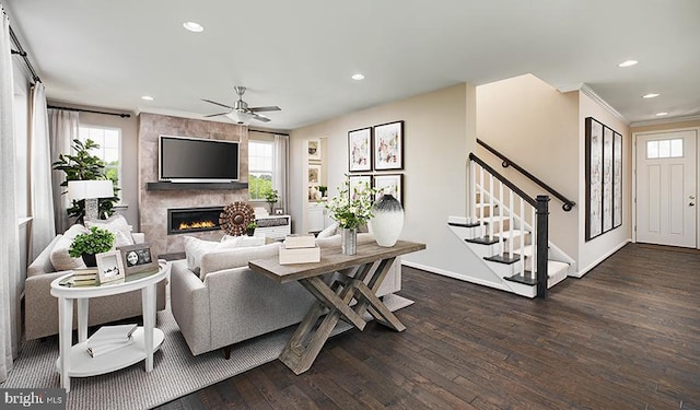 living room featuring ceiling fan, a large fireplace, crown molding, and dark wood-type flooring