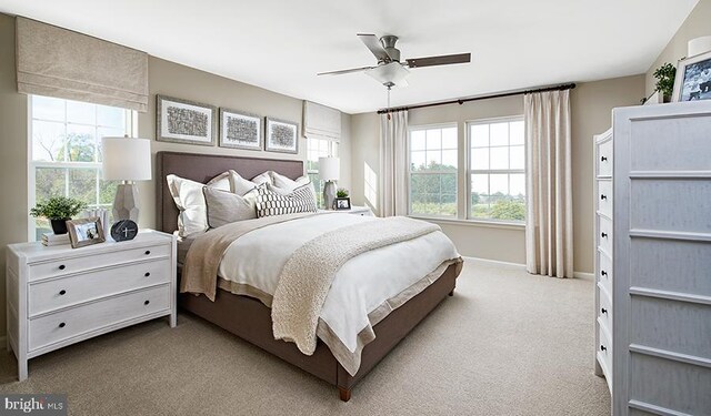 carpeted bedroom with multiple windows and ceiling fan