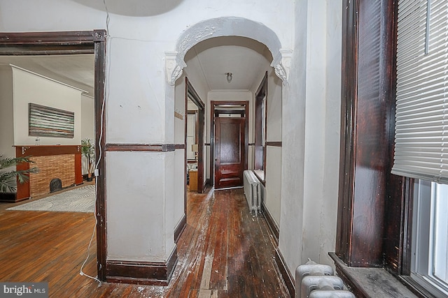 hall with radiator and dark hardwood / wood-style floors