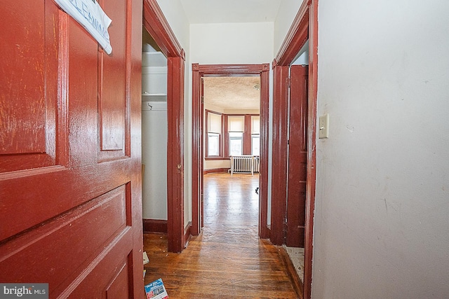 corridor with dark wood-type flooring