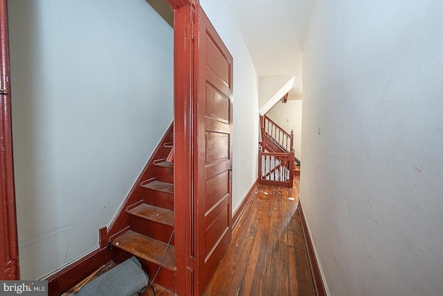 staircase featuring hardwood / wood-style floors