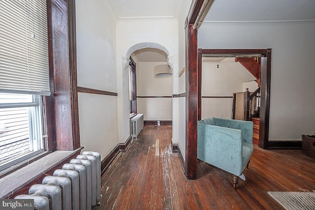 hallway with radiator, crown molding, and dark hardwood / wood-style flooring