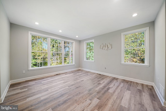 spare room featuring plenty of natural light and light wood-type flooring