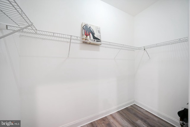 spacious closet with hardwood / wood-style flooring