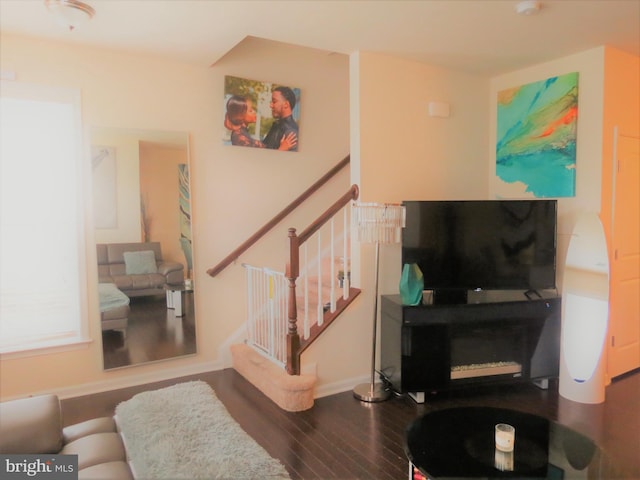 living room featuring dark hardwood / wood-style flooring