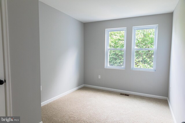 empty room featuring carpet