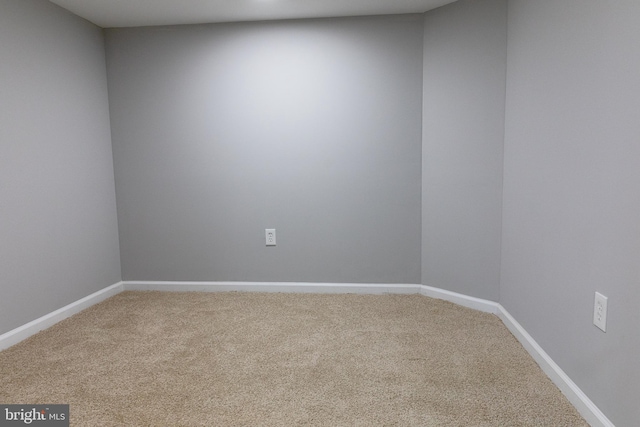 spare room with carpet