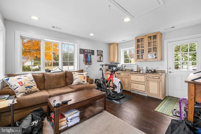 living room featuring dark hardwood / wood-style floors