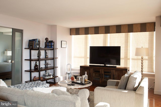 living room with wood-type flooring