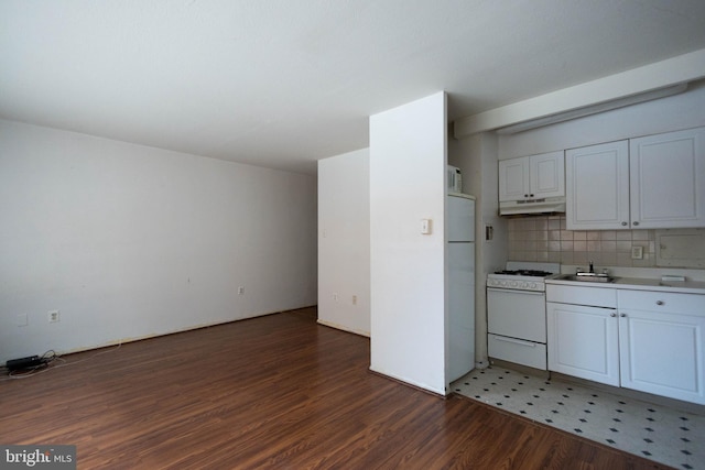 2101 Chestnut St Unit 401, Philadelphia, PA 19103 - kitchen featuring white appliances, under cabinet range hood, light wood-style flooring, white cabinets, and light countertops