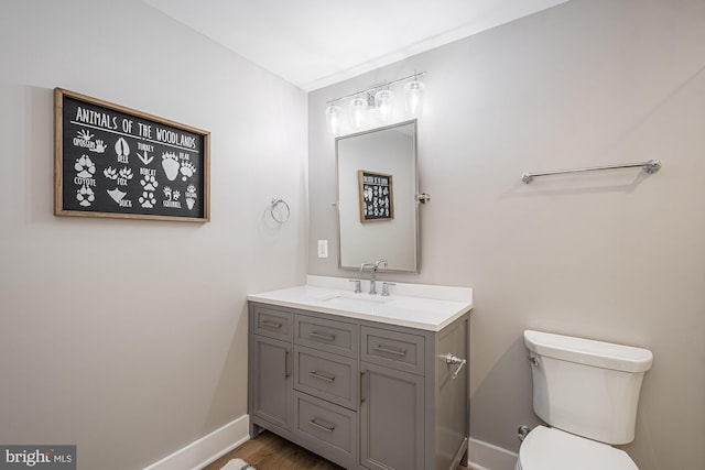 bathroom featuring vanity, wood-type flooring, and toilet