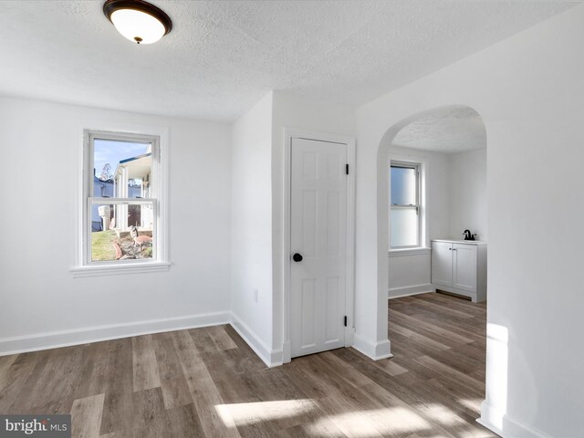 empty room featuring plenty of natural light, sink, wood-type flooring, and a textured ceiling