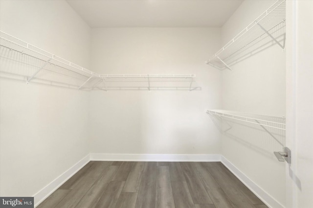 spacious closet with dark hardwood / wood-style floors