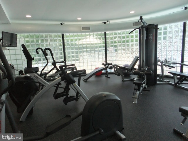 workout area with expansive windows