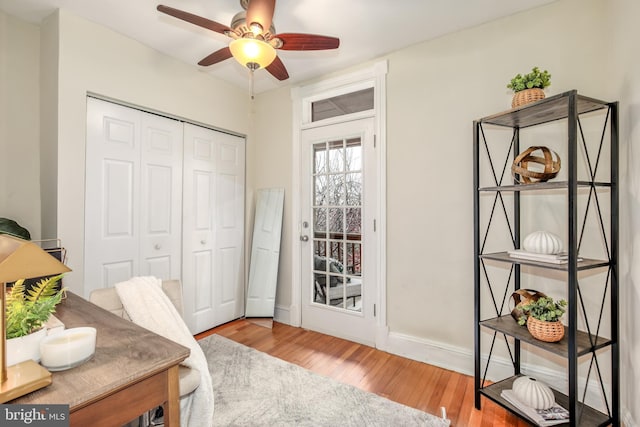 office space with ceiling fan and light hardwood / wood-style floors