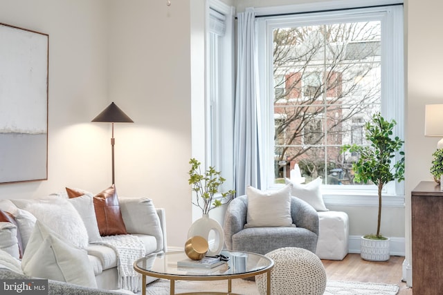 living room featuring light hardwood / wood-style floors