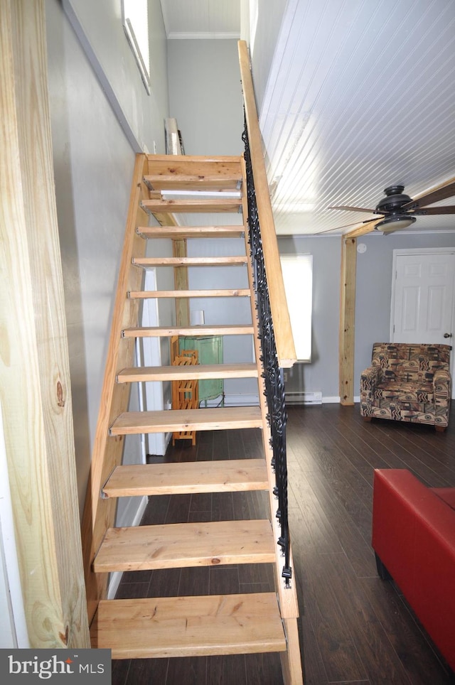 stairway with hardwood / wood-style flooring and ceiling fan