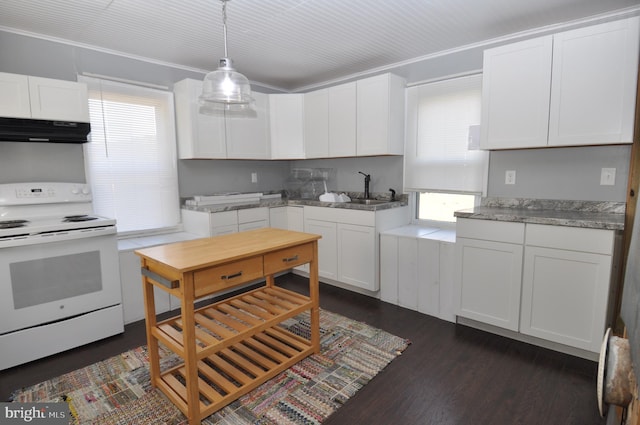 kitchen with electric range, dark hardwood / wood-style floors, white cabinetry, and a wealth of natural light