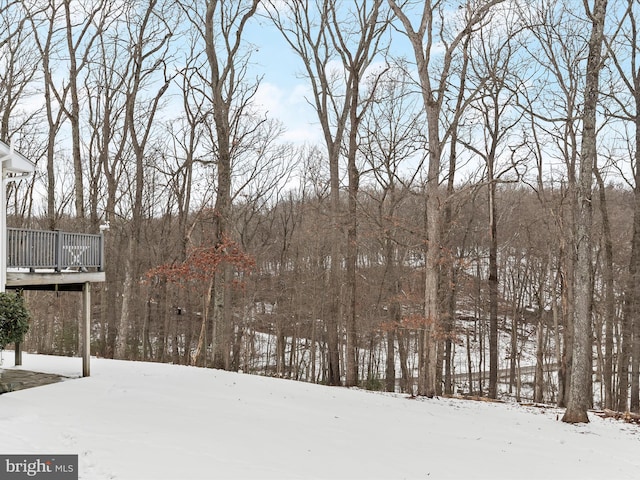 view of snowy yard